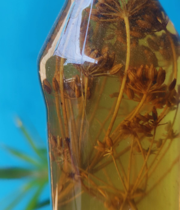 Cachaça de Erva doce - Image 2